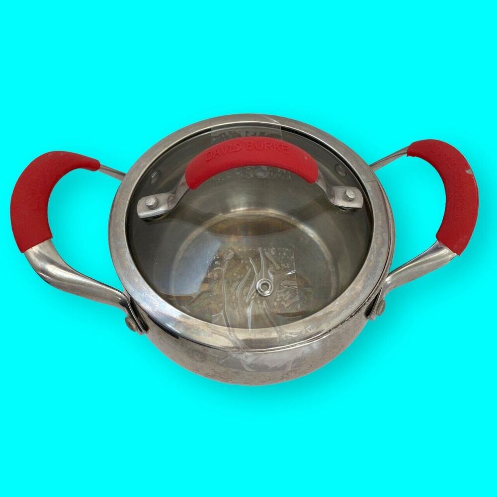 David Burke Stainless Steel Chef Pan 2 Qt Saucepan Red Handles and Lid Grips